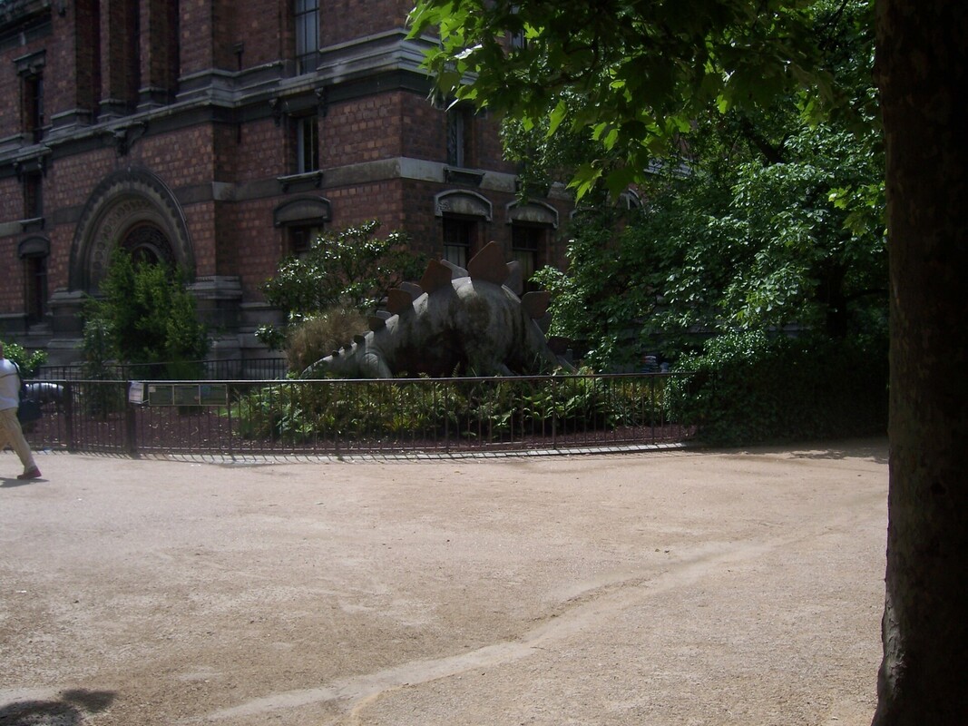 image-03