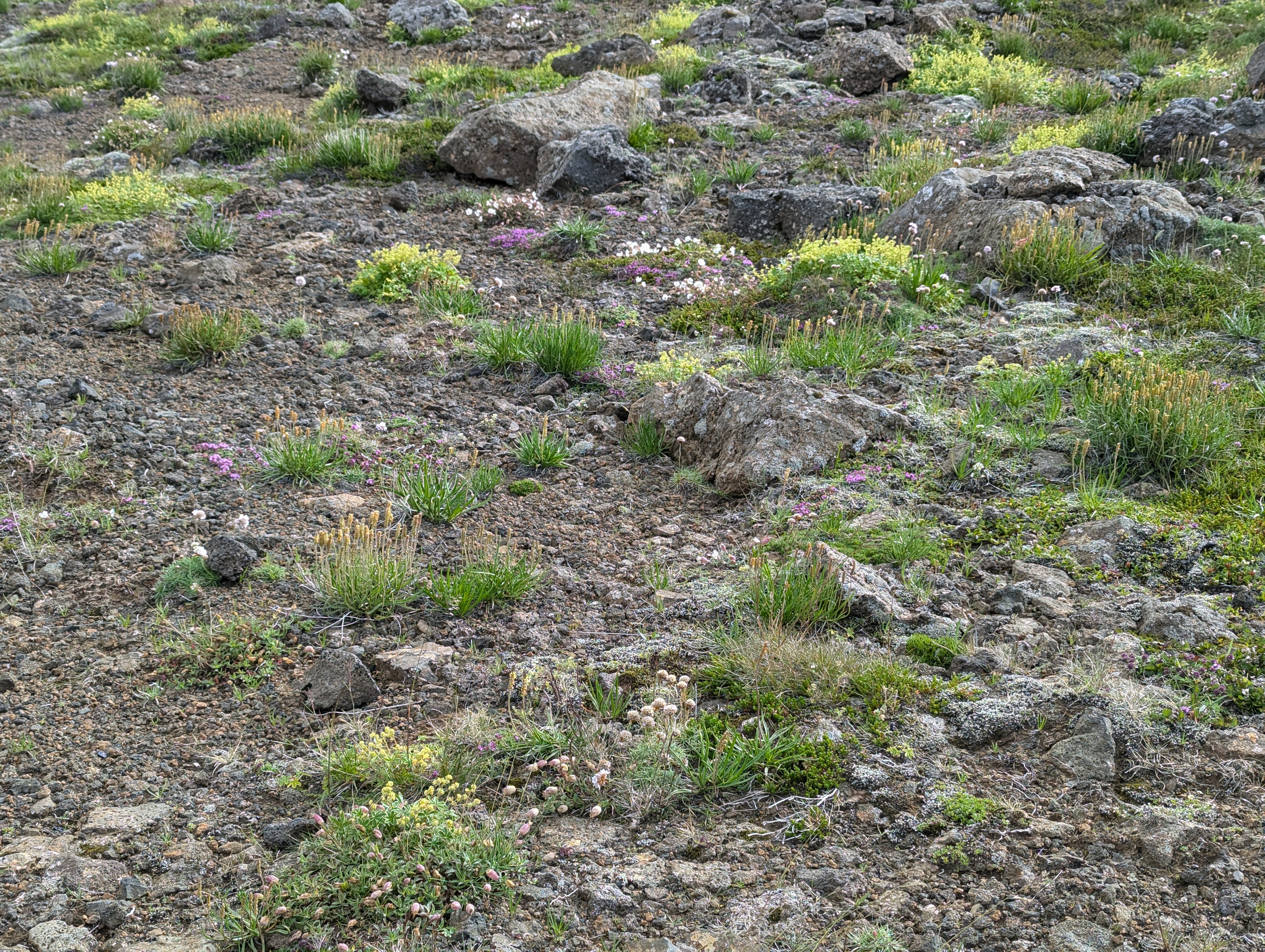 image-09