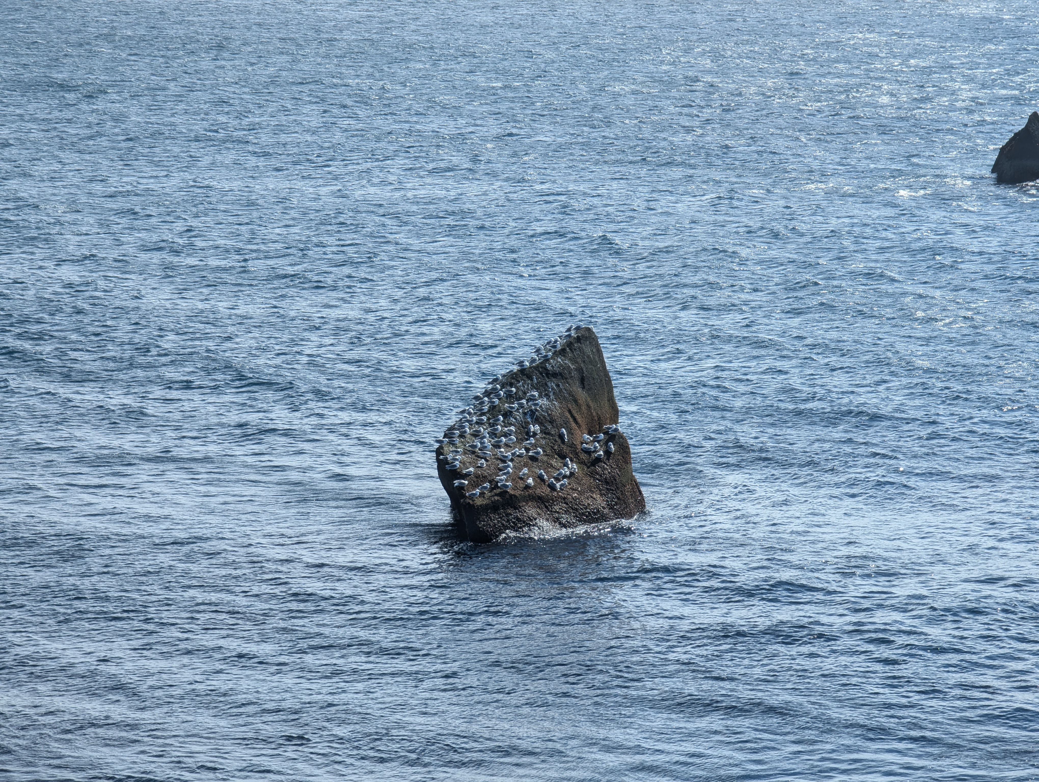 image-46