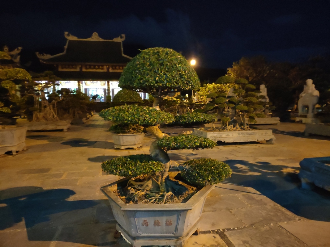 image-15